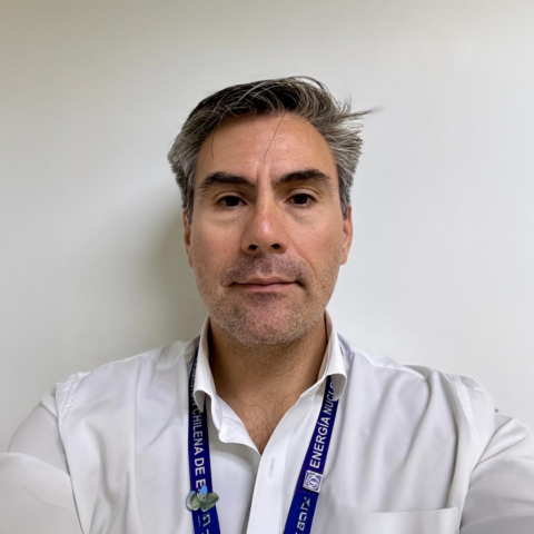 Francisco Molina | Investigador Asociado Instituto Milenio SAPHIR